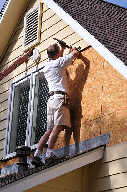 Affordable siding repair and maintenance services in Orion, IL